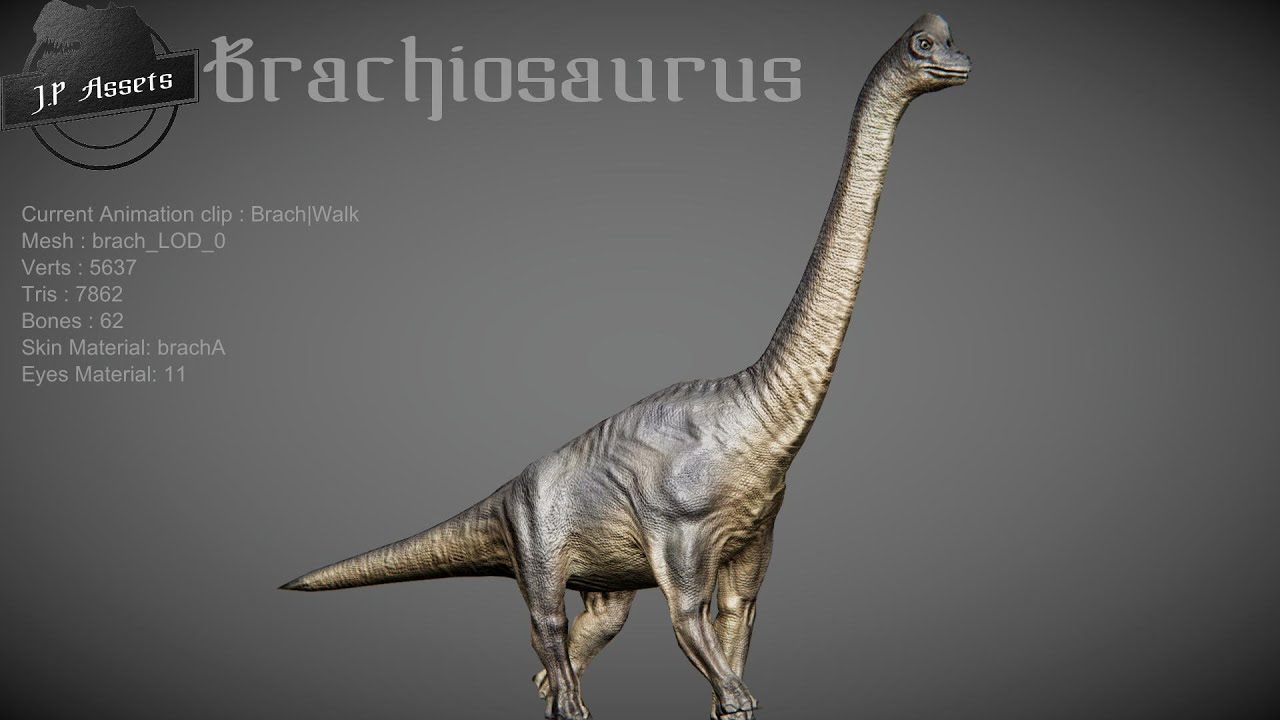Brachiosaurus