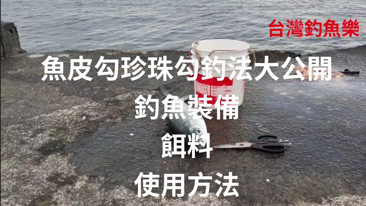 （第119集）臺灣釣魚樂推廣的釣法珍珠勾魚皮勾釣法大公開#臺灣釣魚