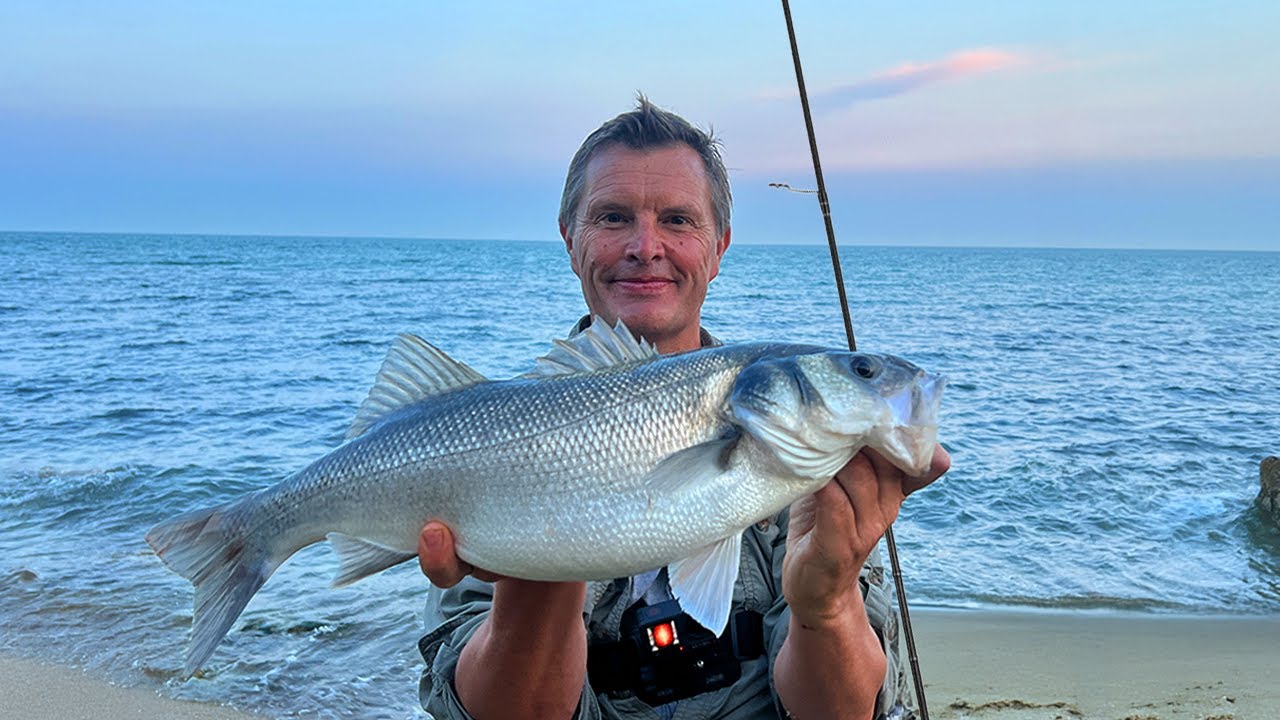 Lure Fishing for Bass: 10 Things I Wish I Had Known Years Ago