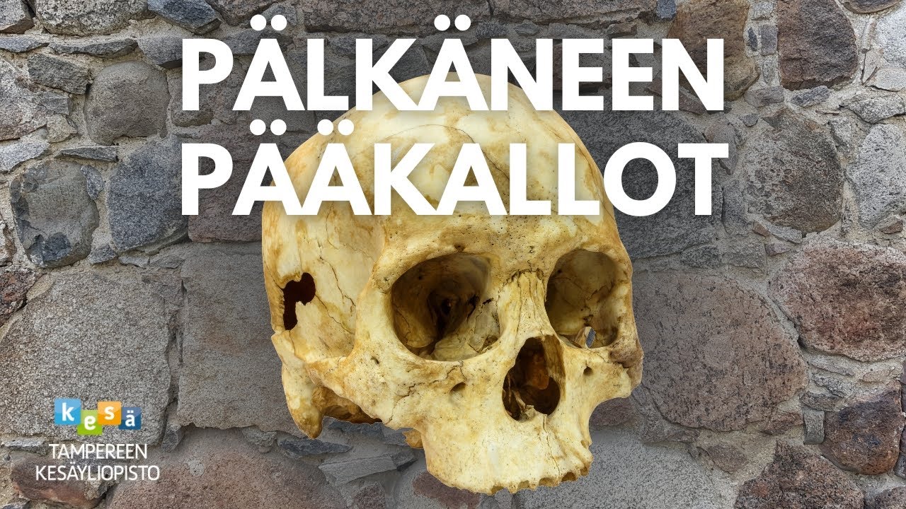 Mitä Pälkäneen pääkallot meille kertovat? | Yleisöluento