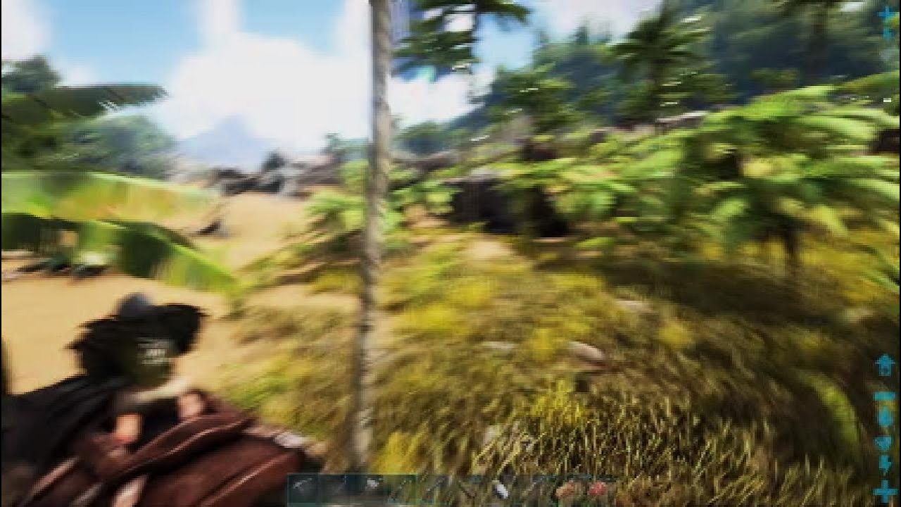 Ark adventures, A 