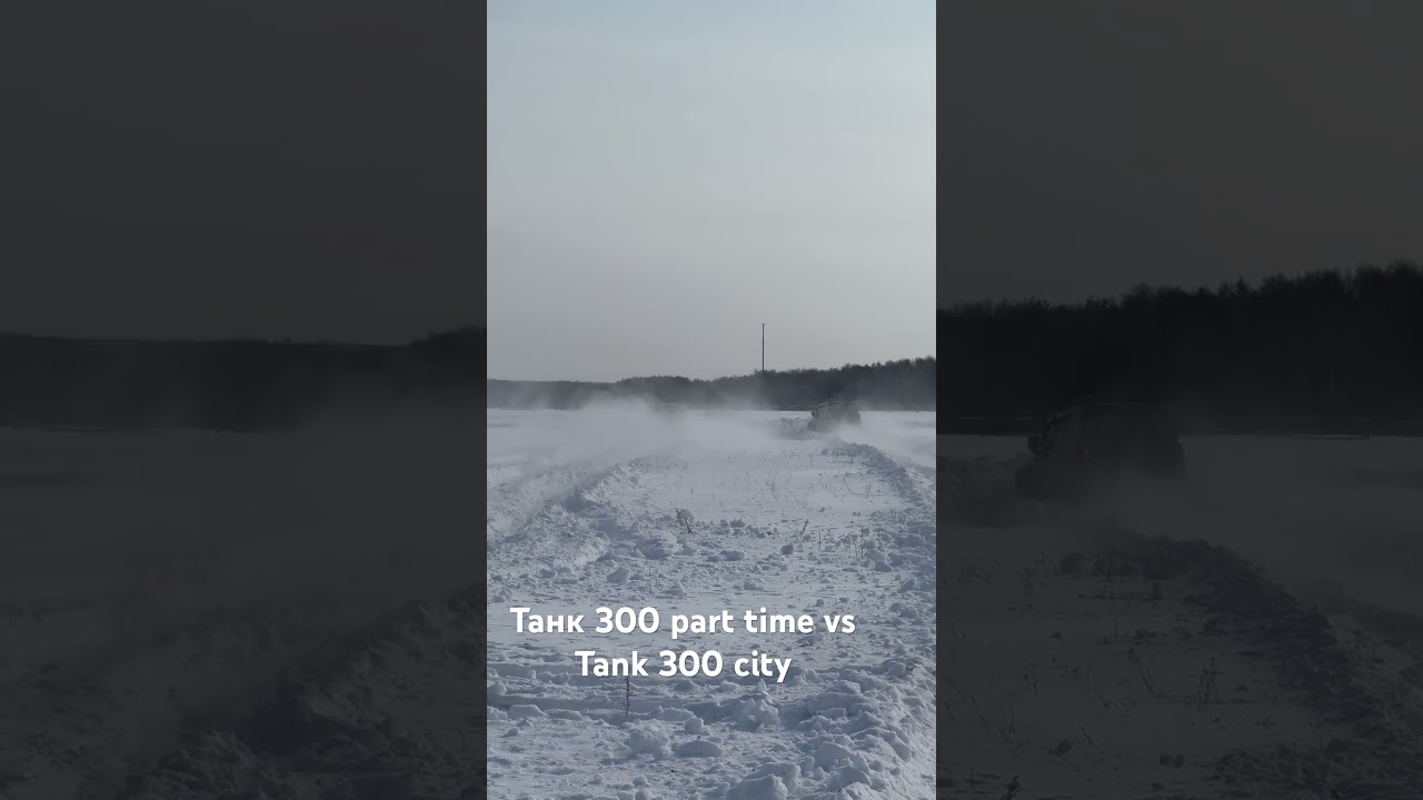 Tank 300 part time против версии танк 300 city #tank300 #танк300