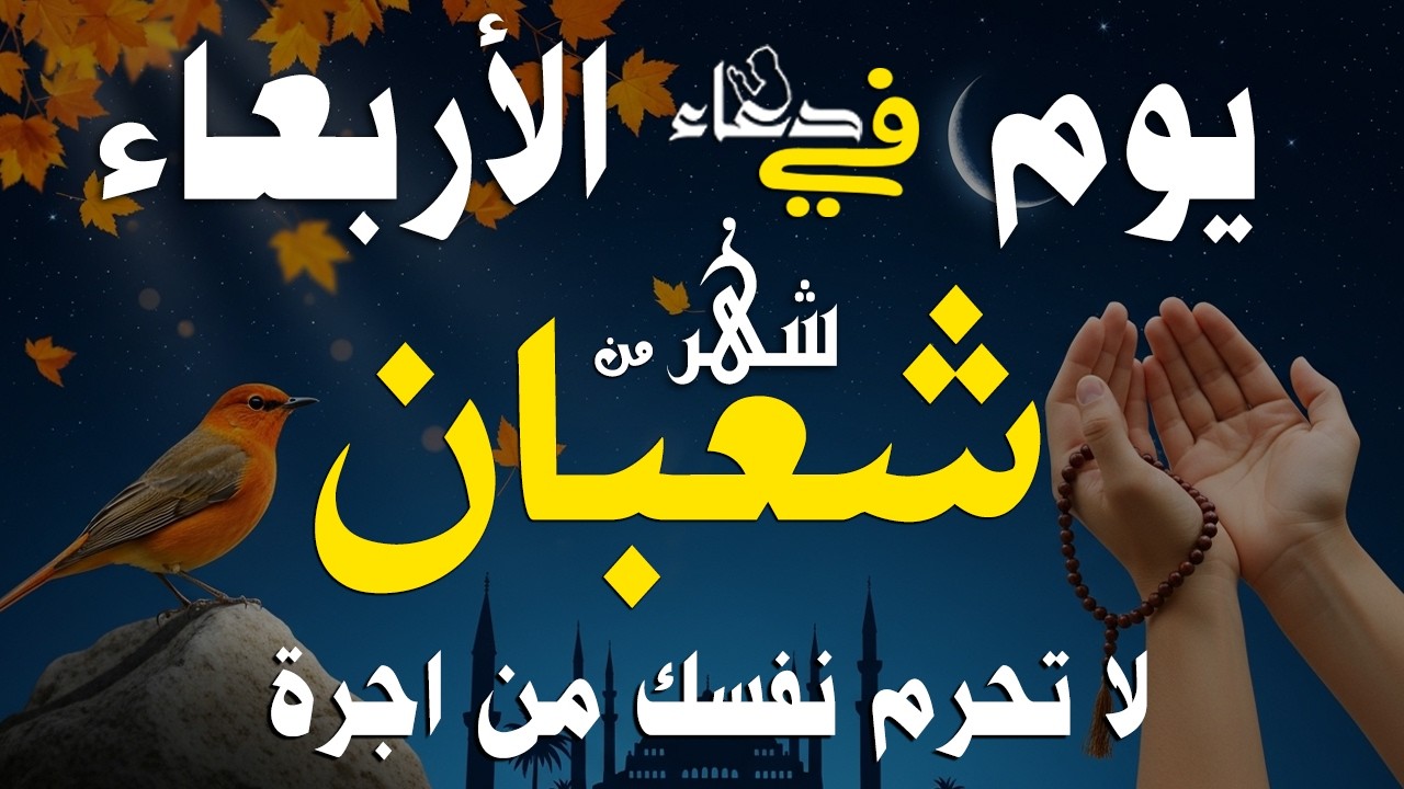 دعاء فى يوم الاثنين المستجاب دعاء يوم 28 من شهر شعبان للرزق والشفاء العاجل وقضاء الحوائج 🤲(4k)