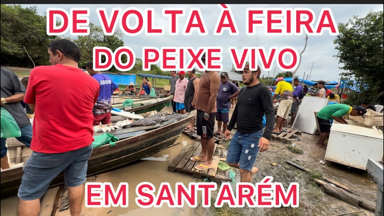 De volta à feira do peixe vivo em Santarém conhecida como Porto dos Milagres!￼