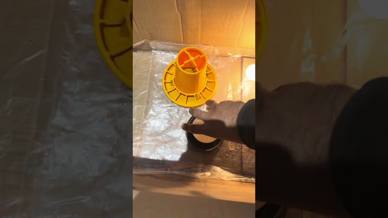 Aseel Hen Egg Laying to Chick Hatching & Brooding | Real Farm Video, aseel k ando se bacche 