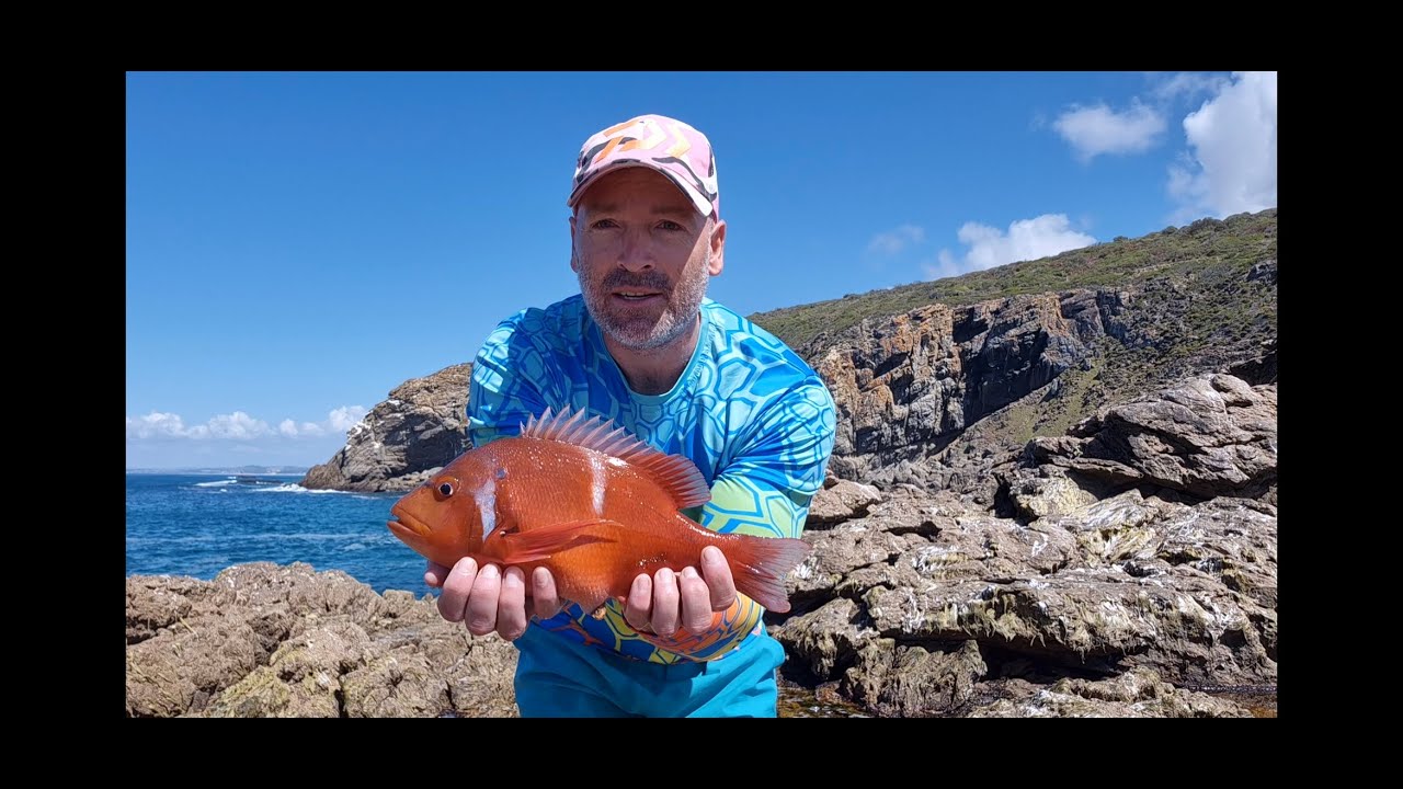 Fishing for Red Roman in the Garden Route of South Africa
