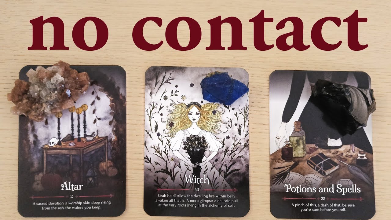 NO CONTACT!  THEIR FEELINGS, THOUGHTS, ACTIONS!  PICK A CARD TIMELESS TAROT READING