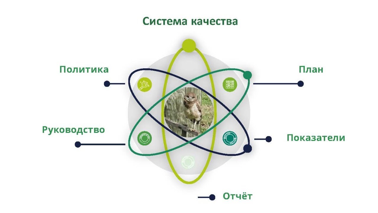 Система качества, основные документы. Основы фармаконадзора.