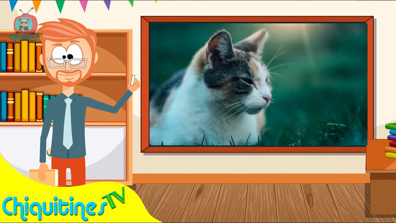 Aprende Inglés con Animales - Canción Infantil