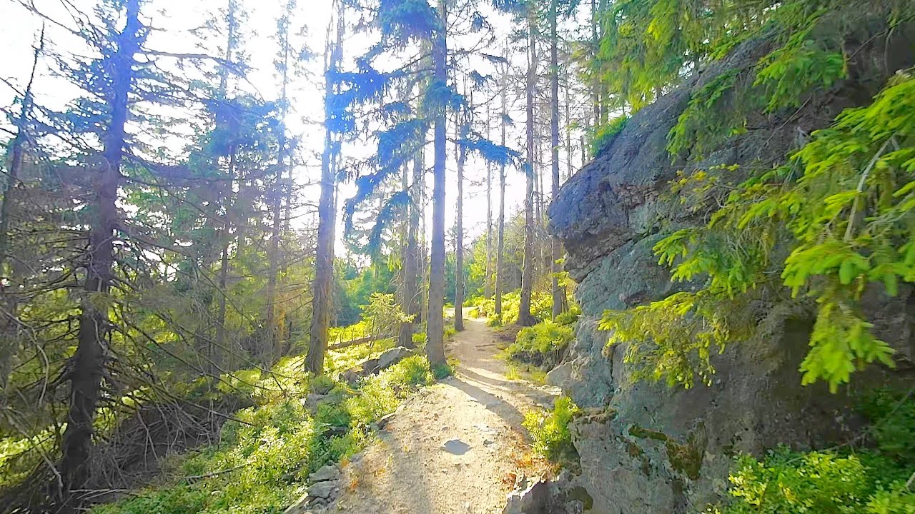 Po Szutrze i Błocie - Przewodniczek rowerowy MTB - 6 Góry Izerskie, Szklarska Poręba, Singletrack 14