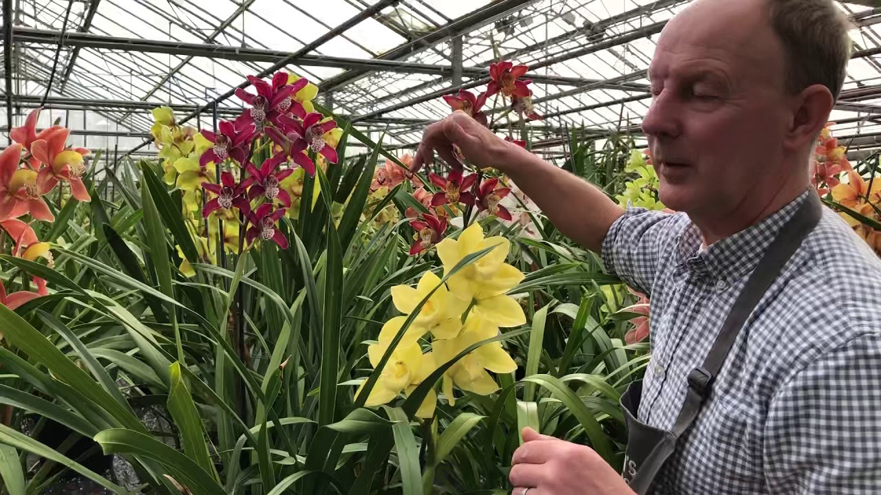 McBean’s February look around the nursery