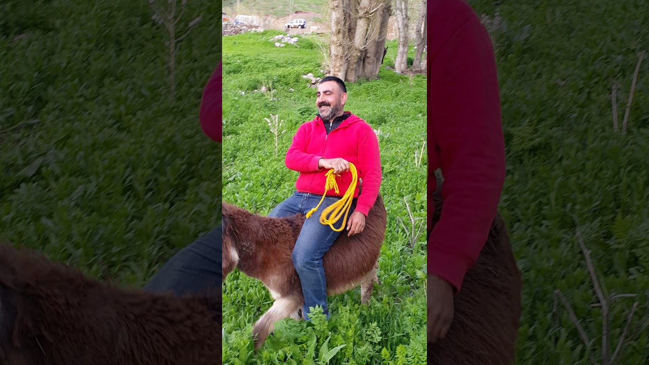Aşağı eyertaş köyü CEVDET YILMAZ dan güzel bir türkü