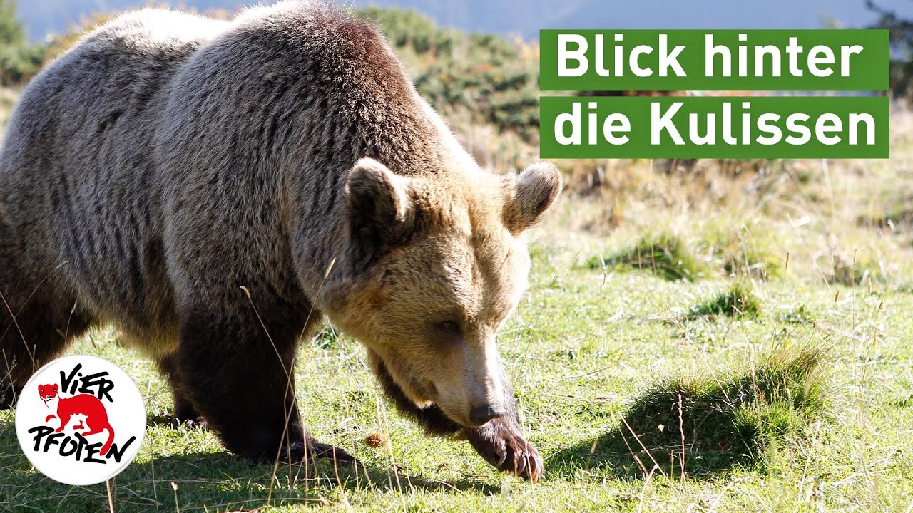 #arosafriday - unser Team im Fokus! | VIER PFOTEN