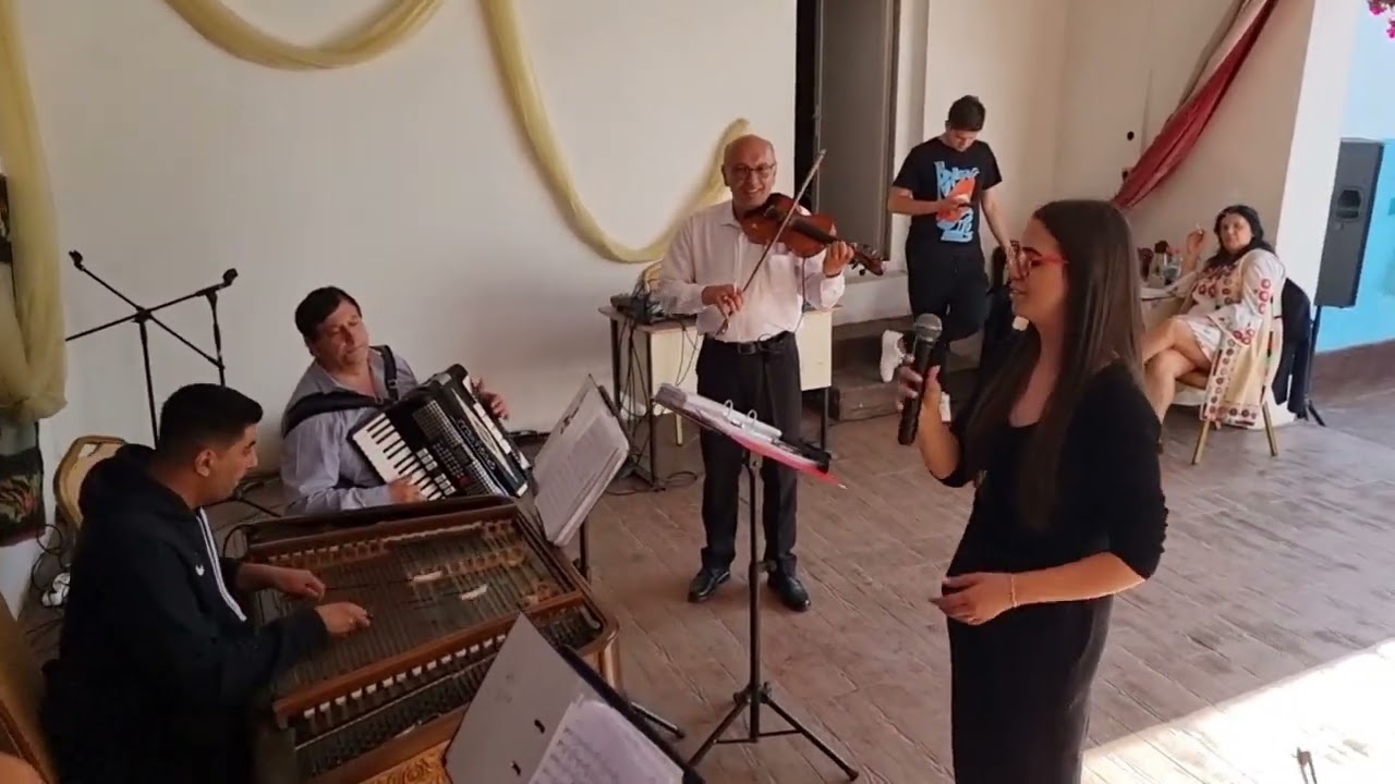 DENISA POPESCU - Floarea mea de liliac ( COVER Nelu Biţînă )