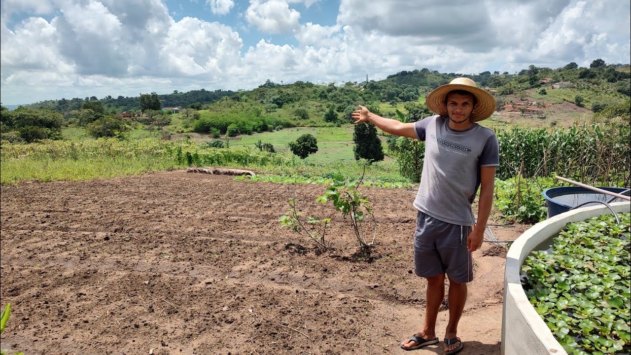 comprei um terreno // resultado de muito trabalho