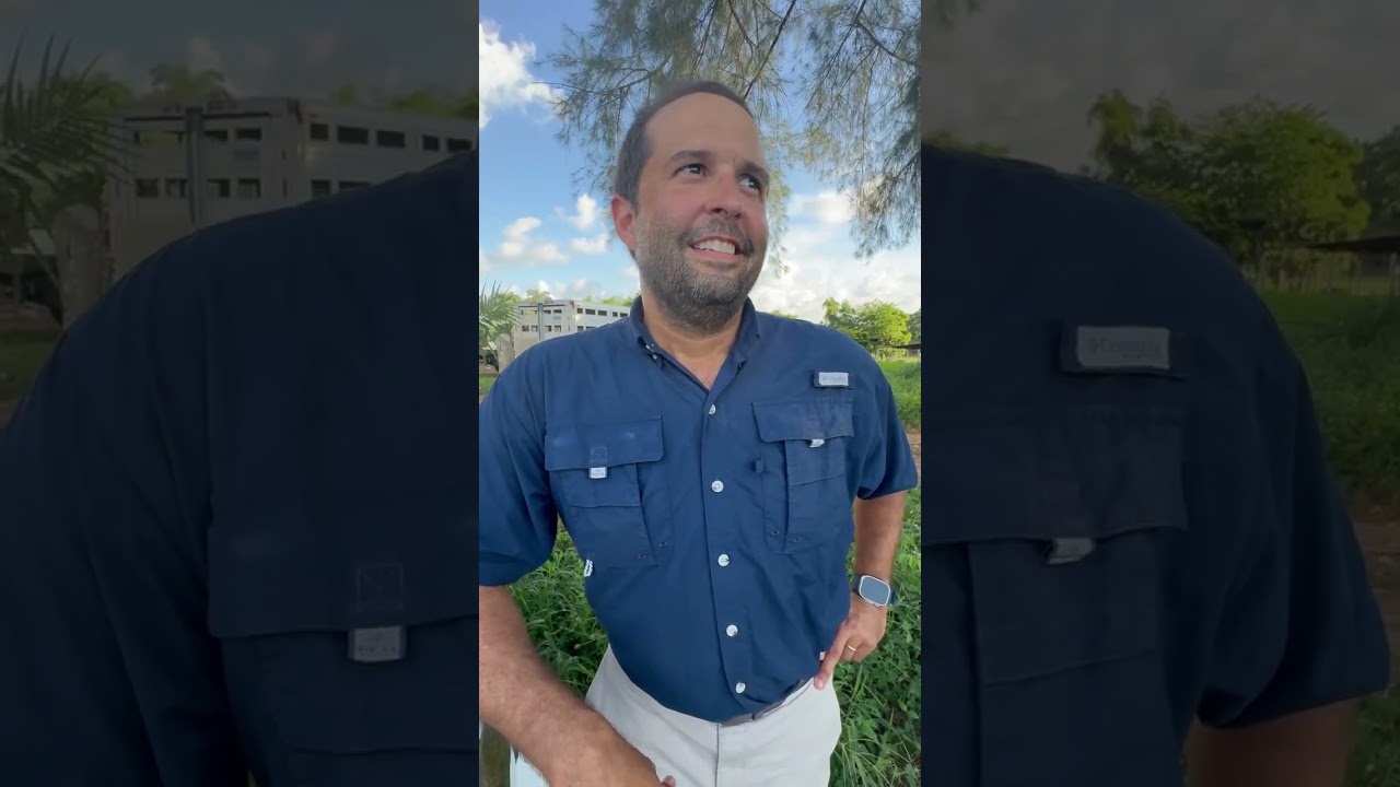 Manejo, Doma y Cría del Caballo de Polo en República Dominicana, R. García, criador dominicano