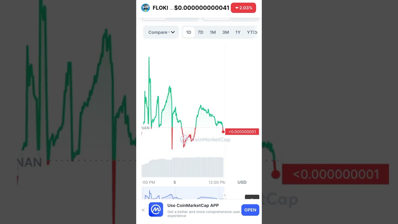 Floki ceo The great opportunity 