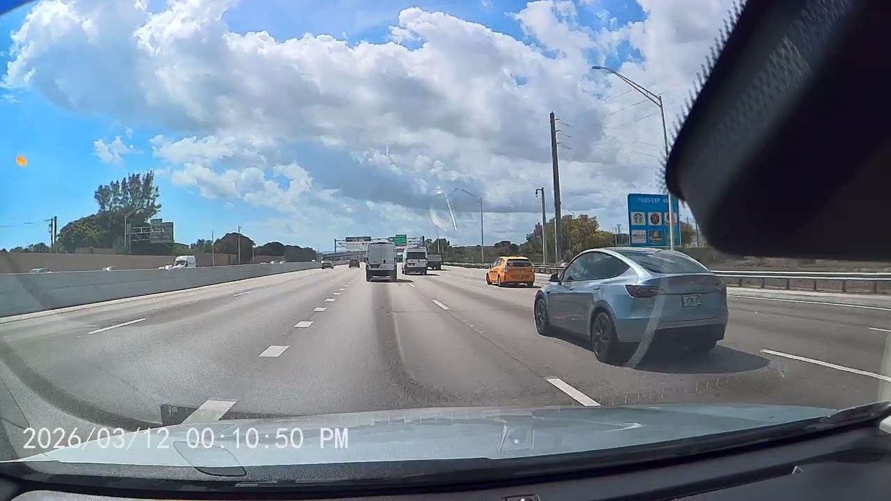 Only in Florida: The Most Unreal Highway Moment Ever Recorded