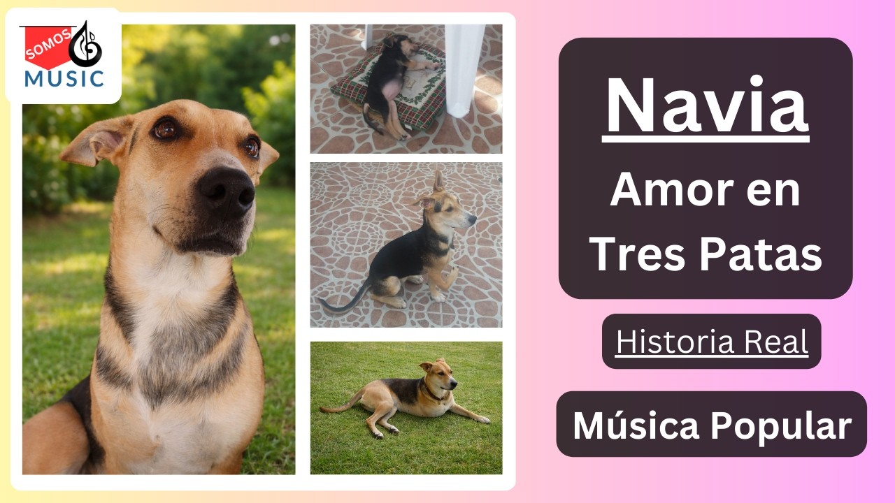 Canción Navia. Amor en Tres Patas @MusicSomos