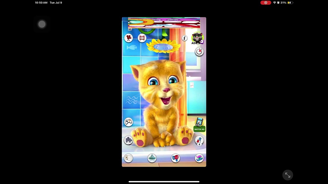 My Talking Ginger