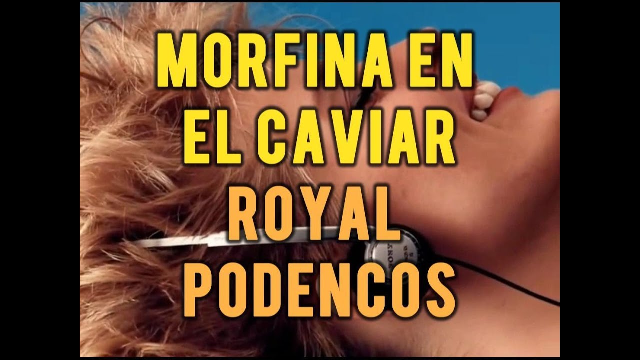 Royal Podencos - Morfina en el caviar (OFFICIAL VIDEO)