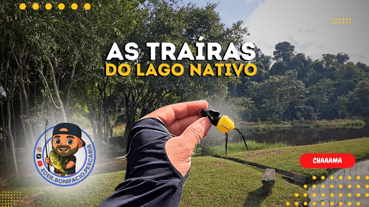 TÁ INFESTADO DE TRAÍRAS! Dicas e truques para pescaria com iscas artificiais