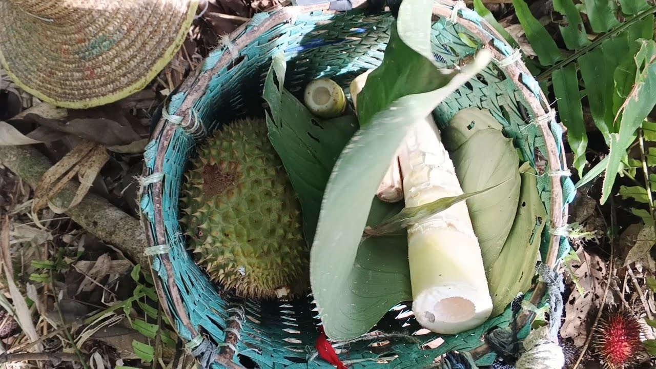 Nyari sayur liar kami bertiga Terpisah lokasi 😭, ikuti keseruan kami