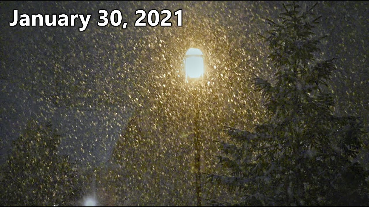 Heavy Snowfall & Massive Snowflakes - January 30, 2021