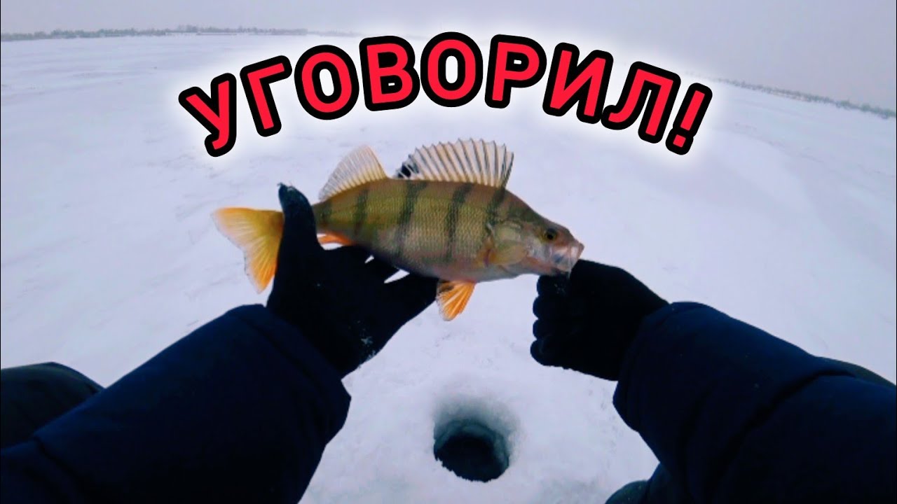 Всю рыбалку молчал… ОДНА ЛУНКА всё решила.