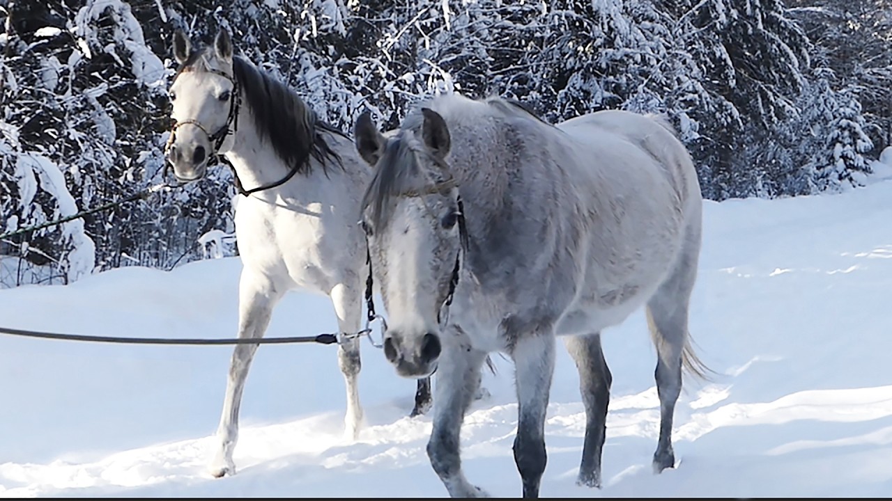 Följ mig på LIVETS STIG min kära