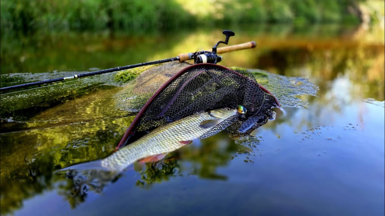 STORASPRANDŽIAI ŠAPALAI. Brendame upe aukštyn...