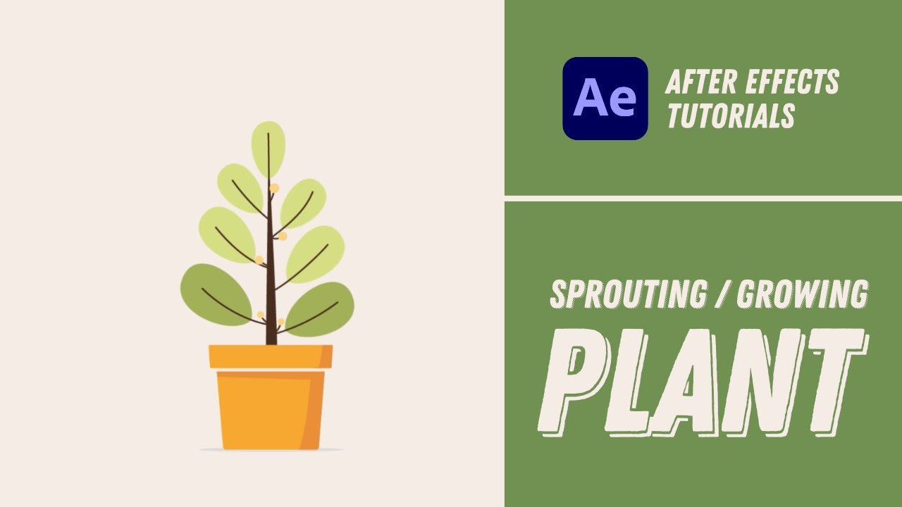 Sprouting/Growing Plant Animation - After Effects Tutorial #23