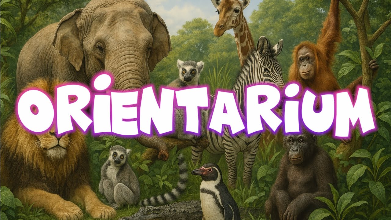 Wycieczka na północ Łódzkie Orientarium