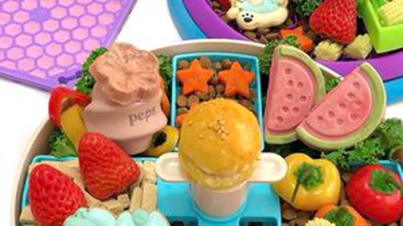 快来看小边博士考试啦！！！🎓 #狗狗配餐 #狗狗吃饭 #沉浸式宠物配餐 #萌宠进食记 #解压声控