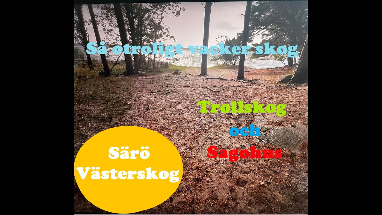 FRICAMPING vid NATURRESERVAT, SÄRÖ VÄSTERSKOG, Halland, Kungsbacka kommun.