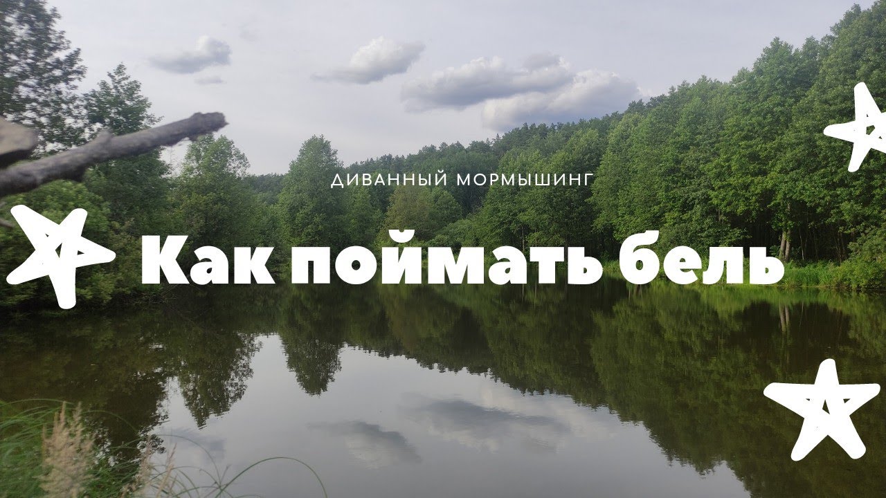 ДИВАННЫЙ МОРМЫШИНГ | КАК ПОЙМАТЬ БЕЛЬ | БОРЬБА С СЕТЯМИ