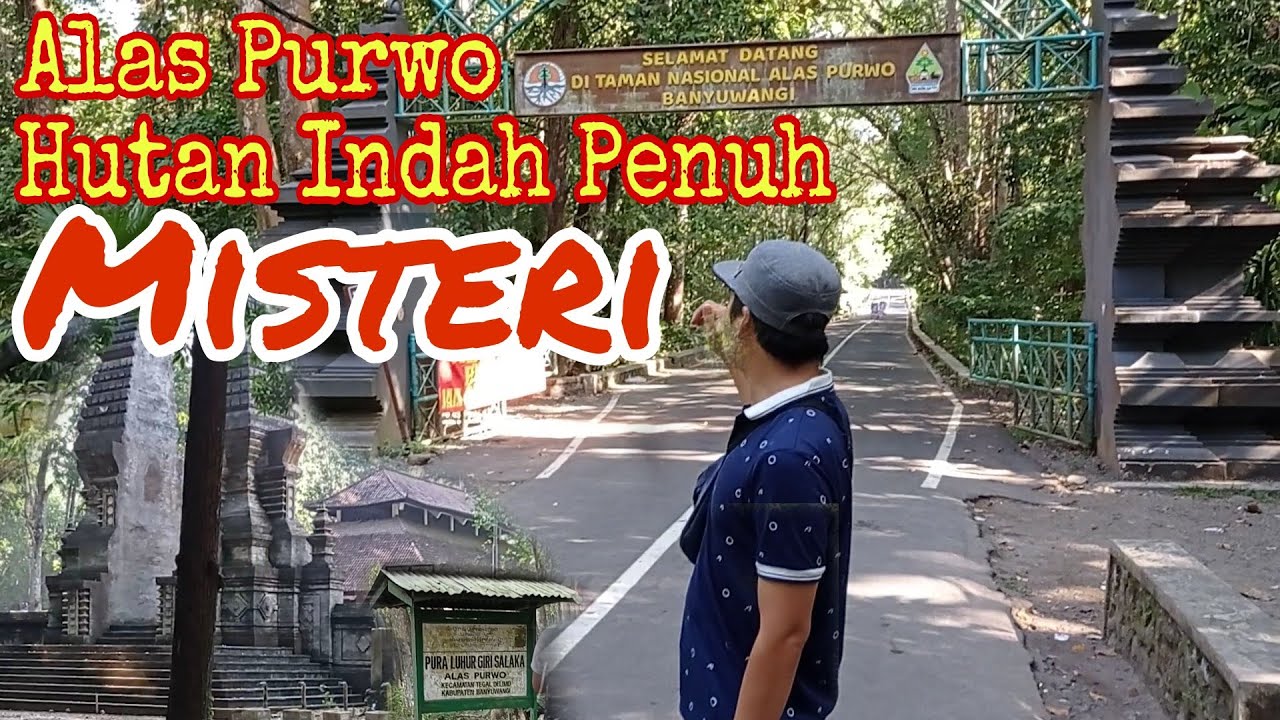 Jalan - Jalan Menelusuri Alas Purwo Hutan Indah Penuh Misteri