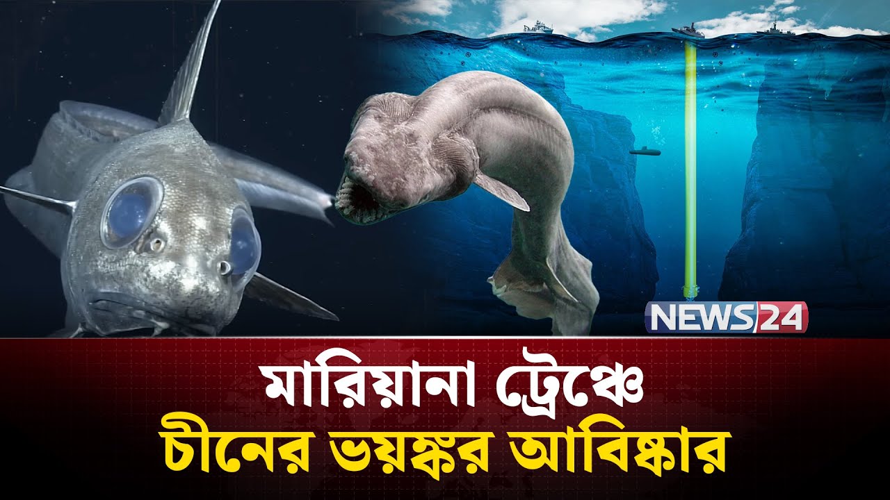 সমুদ্রের ১১ কিমি নিচে যা দেখল চীন, তা কল্পনারও বাইরে! | মারিয়ানাট্রেঞ্চ | Mariana_Trench | NEWS24