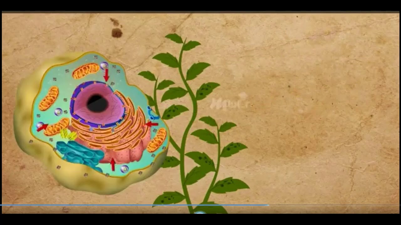 CLIP: Introducción a la Fitopatología y Breve Historia