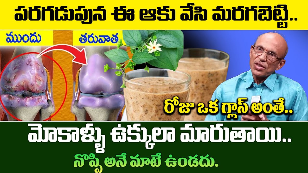 రెండే 2 ఆకులు చాలు మోకాళ్ళ నొప్పి మాయం | Knee Pain Relief | Home Remedies | Dr. Madhusudan Sharma