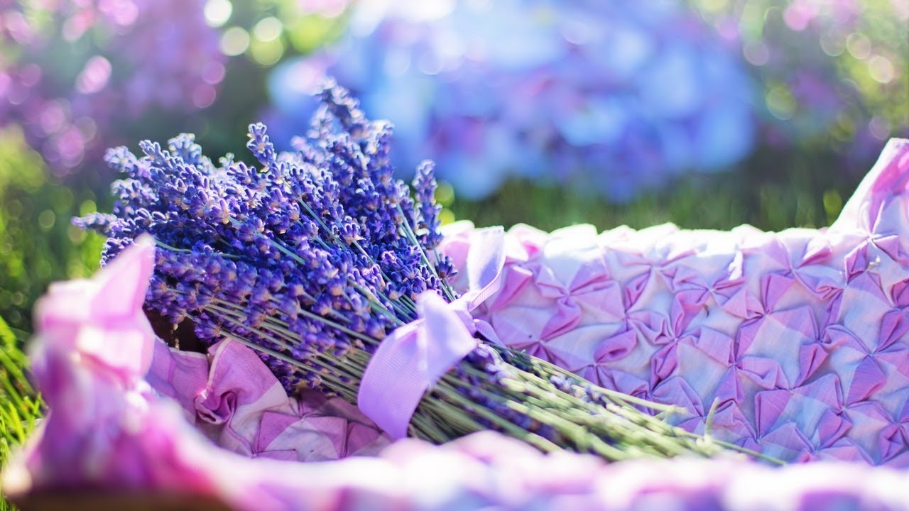 Lavender flower 4K  is the most beautiful breathtaking scenes for relaxation and deep sleep 2022