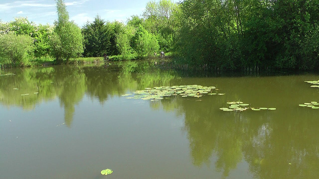 478 Leeds DASA Polo Pond, Kippax, May 14th 2022