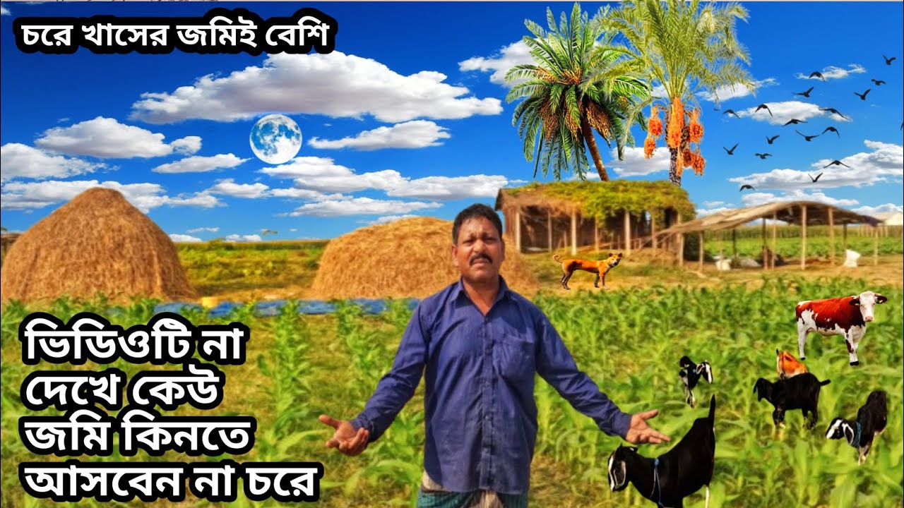 যে চরে খাসের জমিই বেশি, ভিডিওটি না দেখে কেউ জমি কিনতে আসবেন না যেকোনো চরে ||