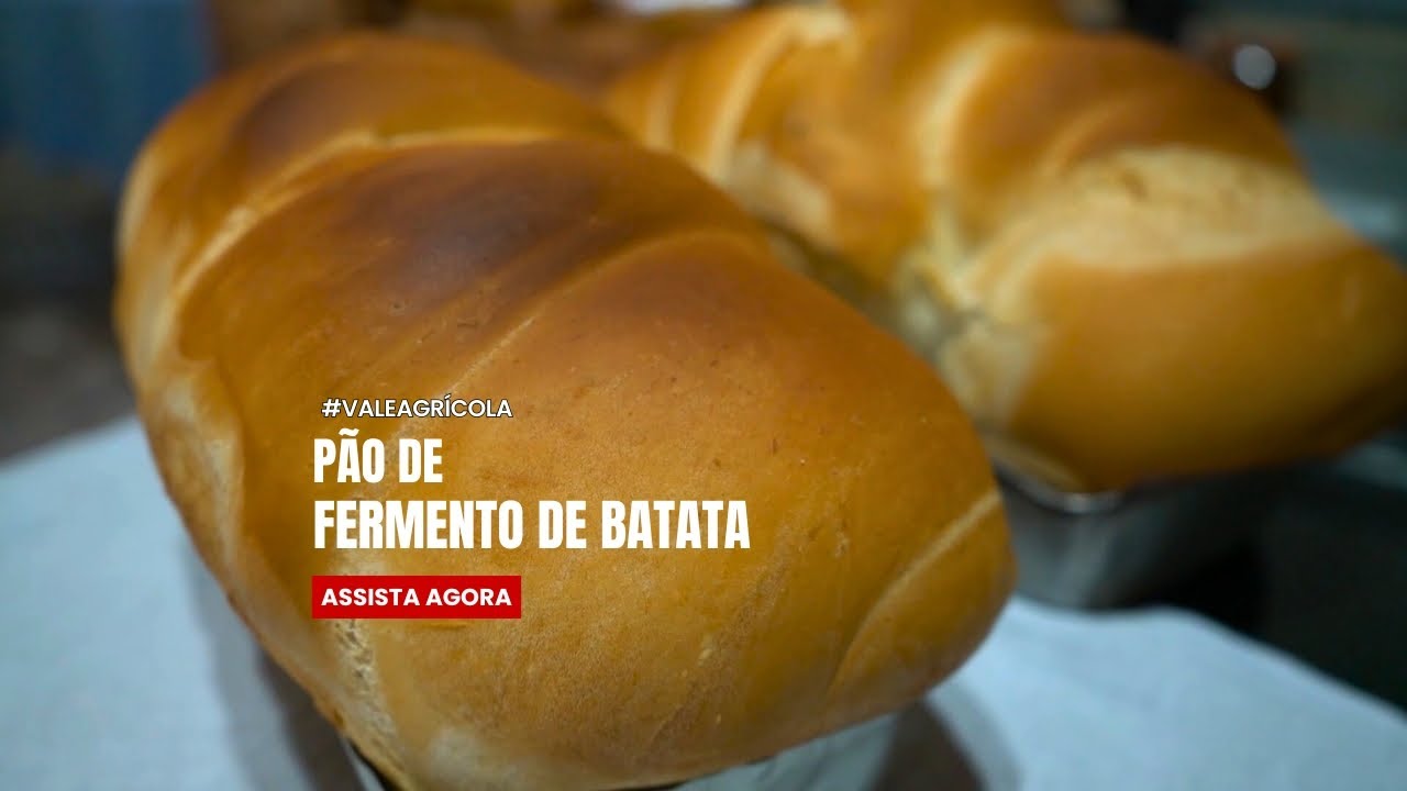 Pão caseiro com fermento de batata: sabor que atravessa gerações!