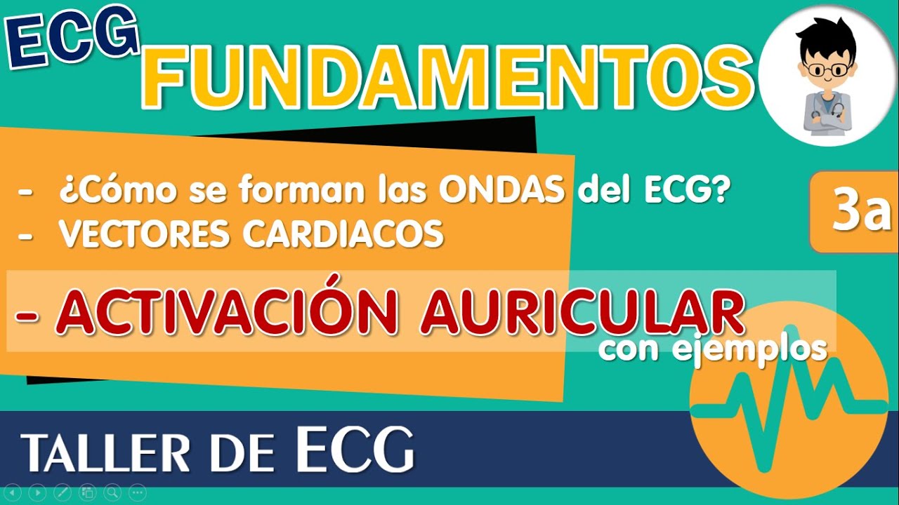 VECTOR CARDIACO - Definiciones, Resumen, ACTIVACION AURICULAR, ONDA P - Electrocardiograma | P3a
