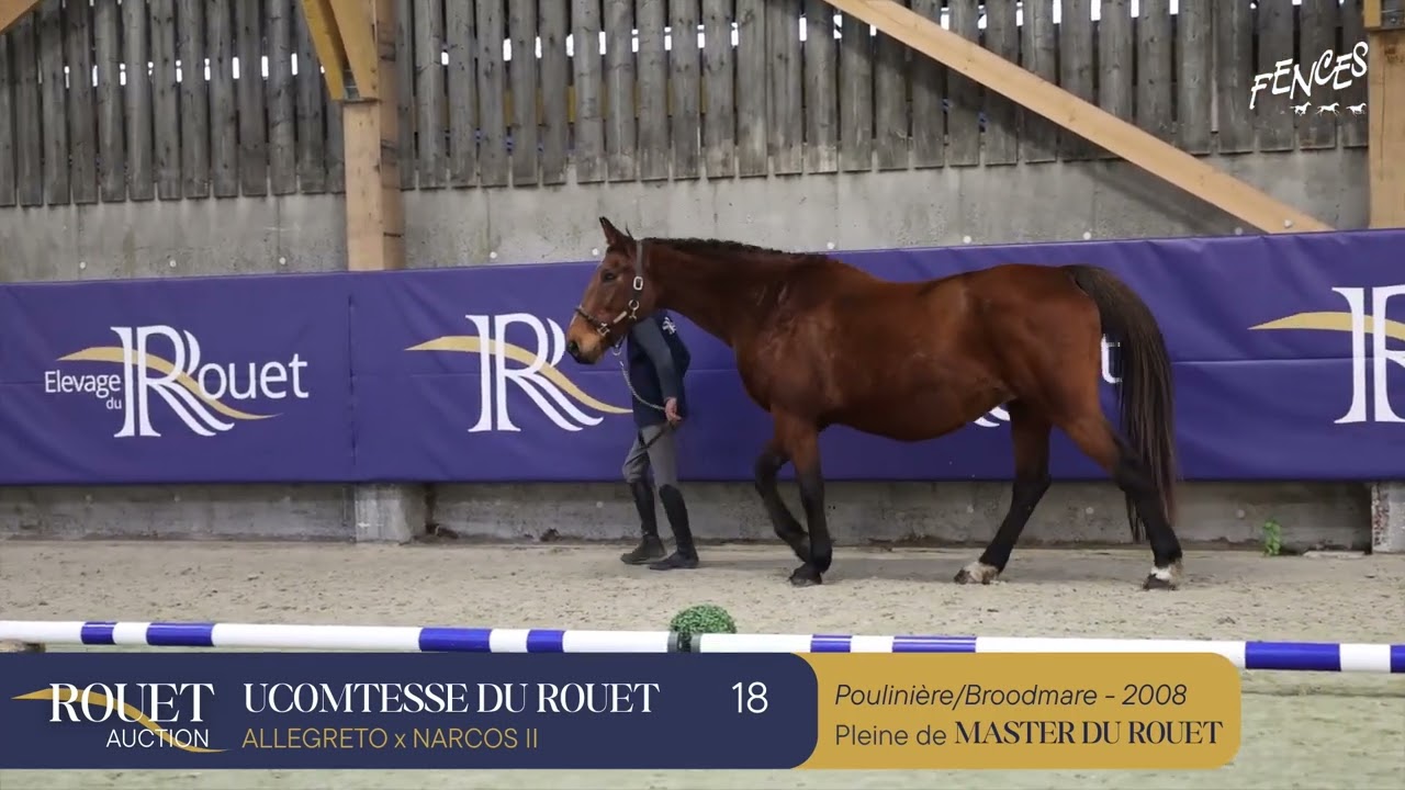 18 - UCOMTESSE DU ROUET