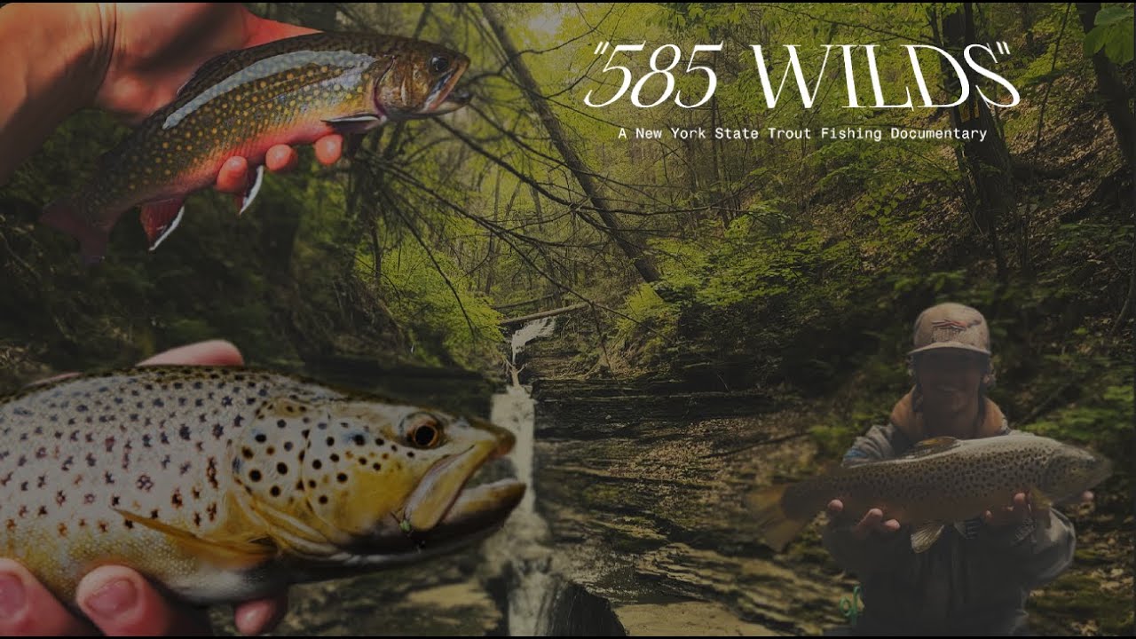 585 WILDS | A New York State Trout Fishing Documentary | Summer Trout Fishing Upstate New York