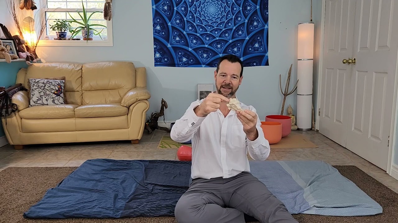 Spinal Intelligence Flow 2