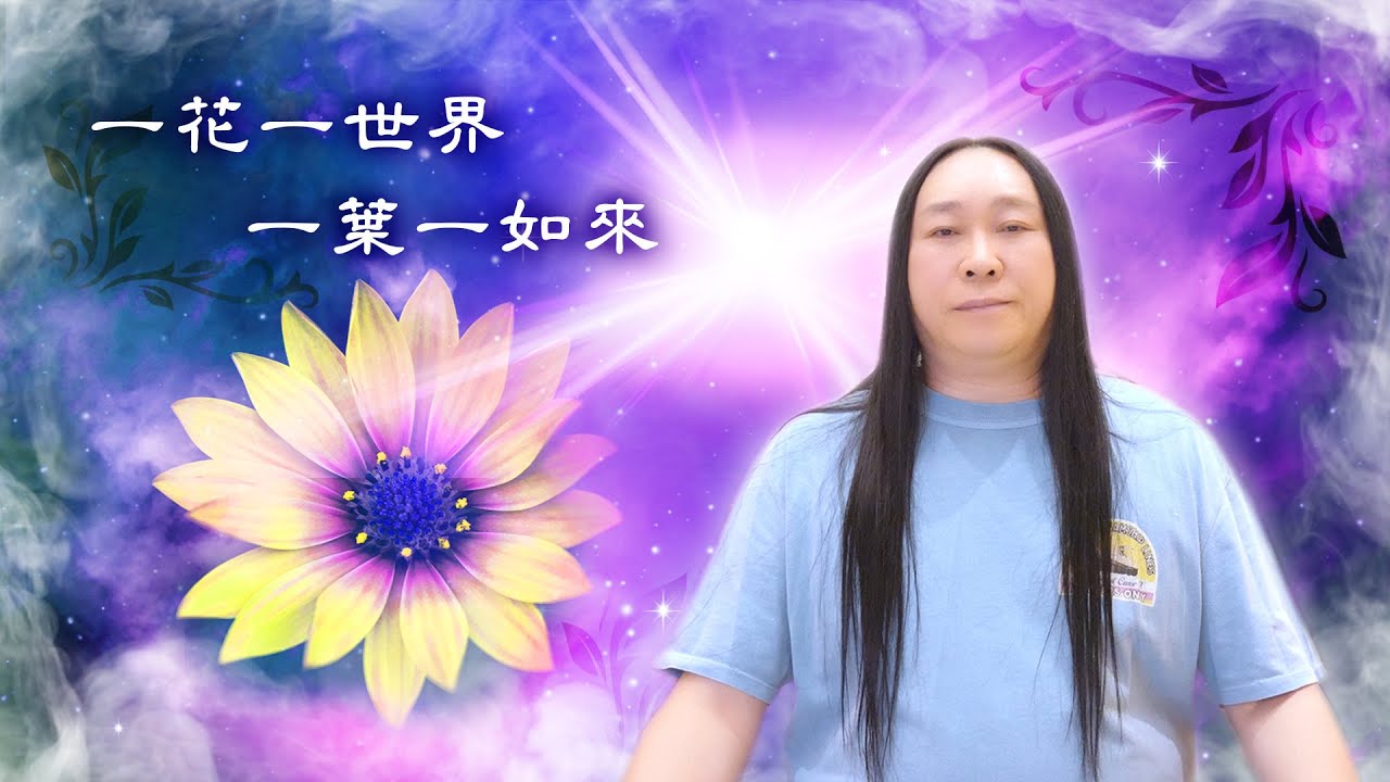 226：安住在沒有意義的圓滿上，體驗遍滿的覺察！｜雙生紫焰