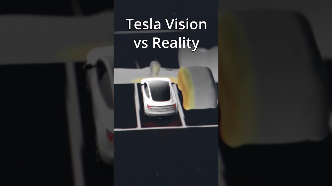 Tesla Vision VS Reality